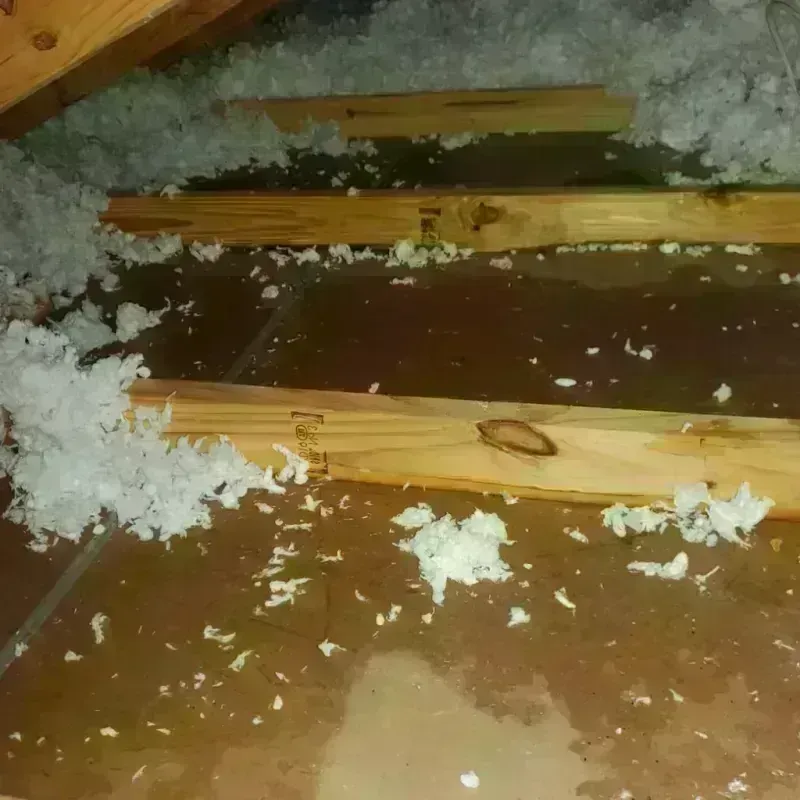 Attic Water Damage in Waldport, OR