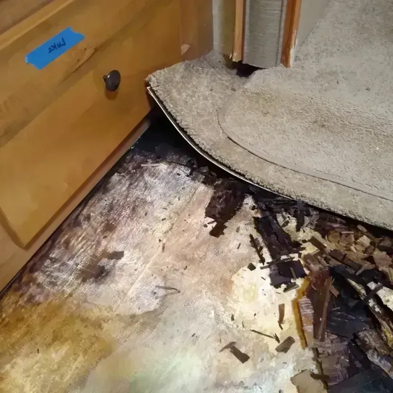 Best Wood Floor Water Damage Service in Waldport, OR